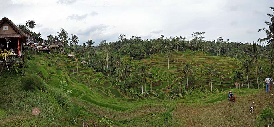 Bali